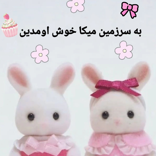 ارسال روز های زوج